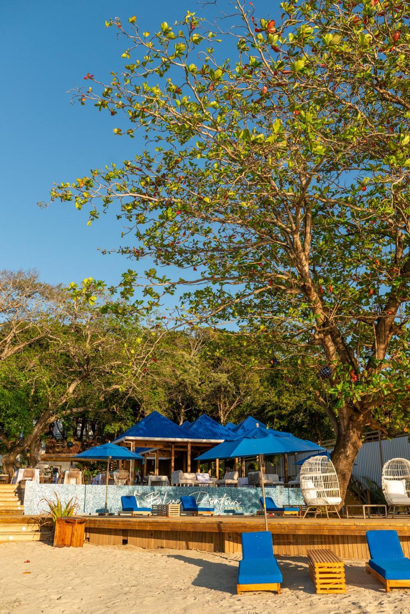 Blue Roatan Resort West Bay Eksteriør bilde
