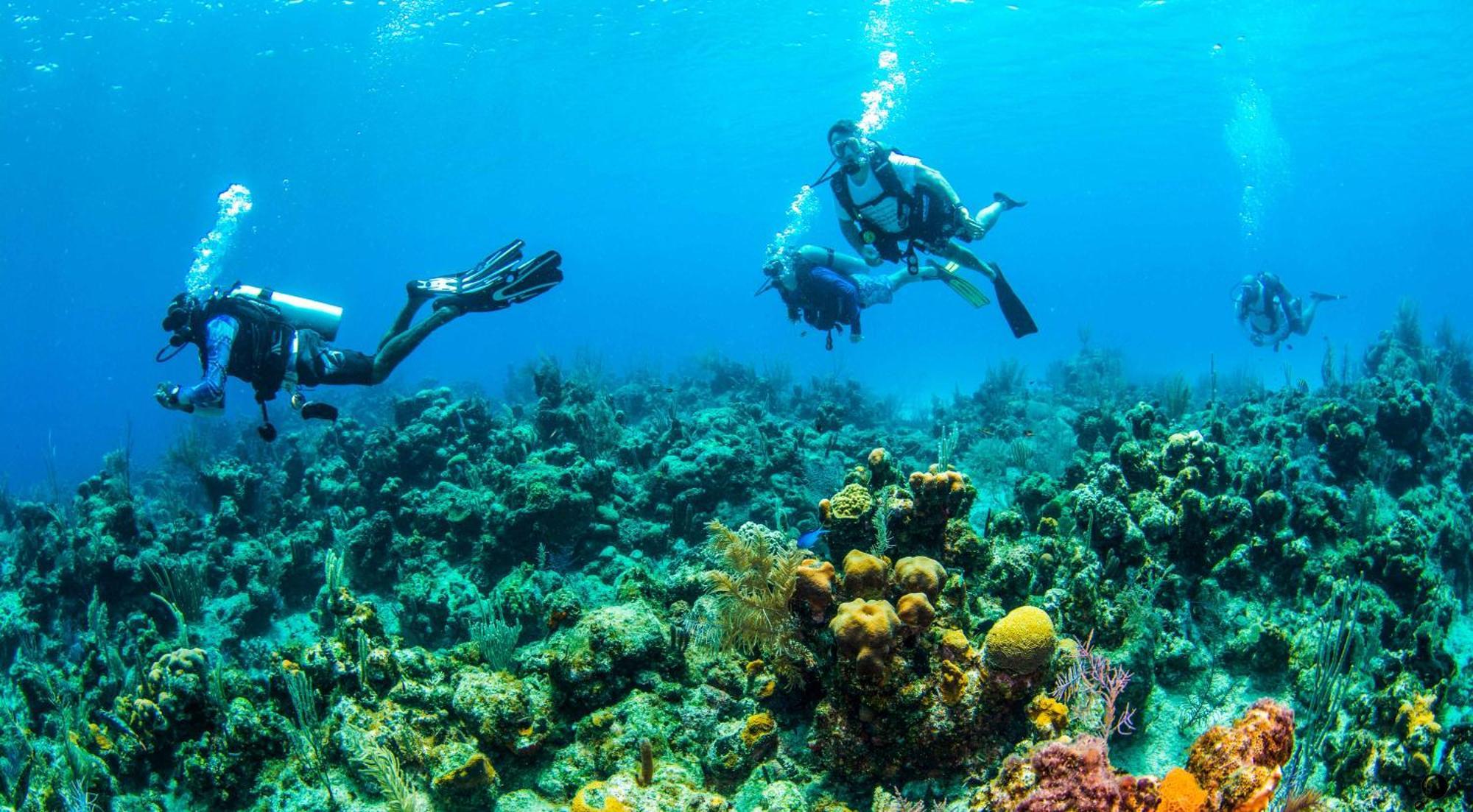 Blue Roatan Resort West Bay Eksteriør bilde