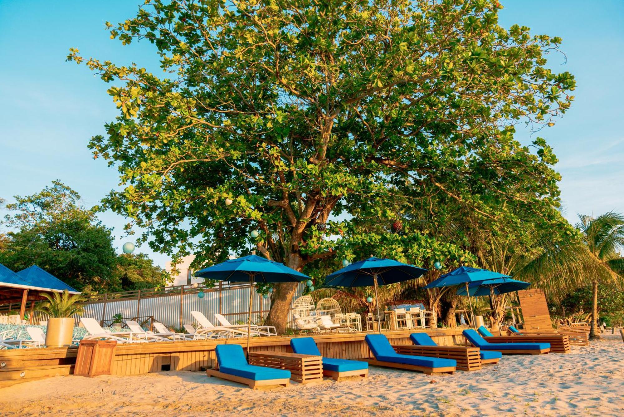 Blue Roatan Resort West Bay Eksteriør bilde